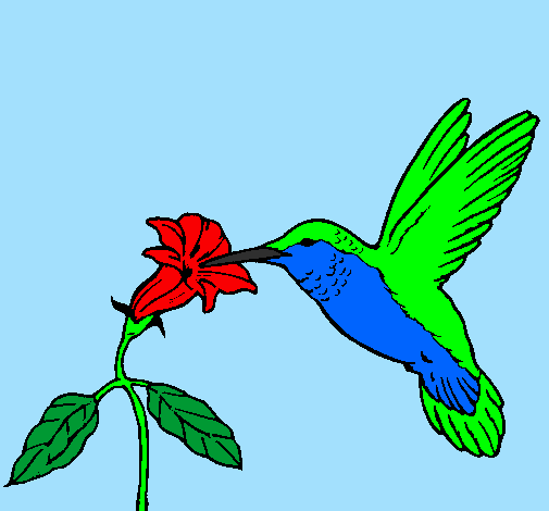 Desenho Colibri e uma flor pintado por beija-FLOR DE NILOPOLIS