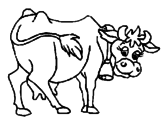 Desenho Vaca pintado por rafaela