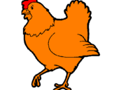 Desenho Galinha pintado por galinha