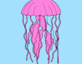 Desenho Medusa pintado por RUAN VINÍCIUS
