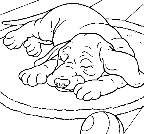 Desenho Cão a dormir pintado por lll