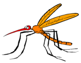 Desenho Mosquito pintado por ju