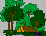 Desenho Bosque pintado por Miriã