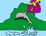 Desenho Golfinho e gaviota pintado por larissa e lais