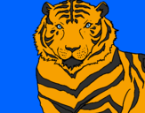 Desenho Tigre pintado por bruno
