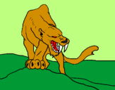 Desenho Tigre com dentes afiados pintado por Pedro Henrique