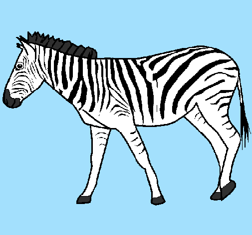 Desenho Zebra pintado por trovão