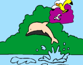Desenho Golfinho e gaviota pintado por BRUNO HENRIQUE