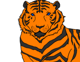 Desenho Tigre pintado por matheus 