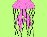 Desenho Medusa pintado por canario