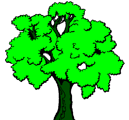 Desenho Árvore pintado por arvore verde....