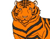 Desenho Tigre pintado por lucas