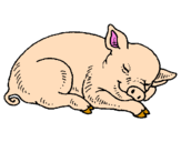 Desenho Porco a dormir pintado por c