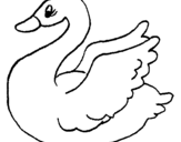 Desenho Cisne pintado por fr