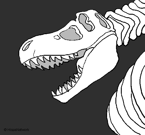 Desenho Esqueleto tiranossauro rex pintado por pedro zorro