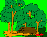 Desenho Bosque pintado por lenita