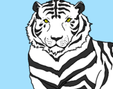 Desenho Tigre pintado por henrique