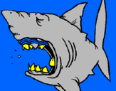 Desenho Tubarão pintado por ISAQUE