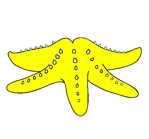 Desenho Estrela do mar pintado por felipe