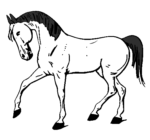 Desenho Cavalo com a pata levantada pintado por Patrícia