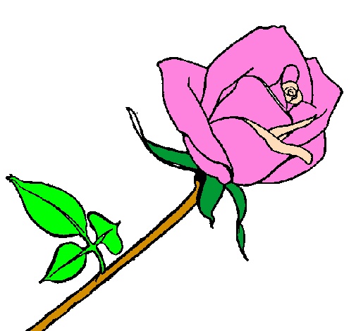 Desenho Rosa pintado por Rosa