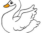 Desenho Cisne pintado por Pato 1 Fe