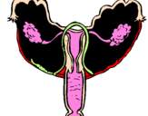 Desenho Vagina pintado por amor