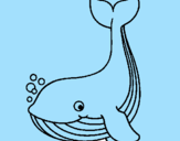 Desenho Pequena baleia pintado por vini