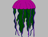 Desenho Medusa pintado por brenda barbosa