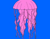 Desenho Medusa pintado por Eduarda