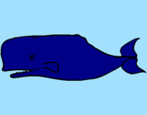 Desenho Baleia azul pintado por nathan