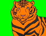 Desenho Tigre pintado por nathan