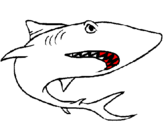 Desenho Tubarão pintado por wilmar