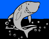 Desenho Tubarão pintado por nathalia
