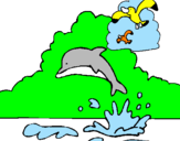 Desenho Golfinho e gaviota pintado por JADE