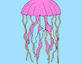 Desenho Medusa pintado por cris