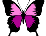 Desenho Borboleta com asas negras pintado por borboleta desirée