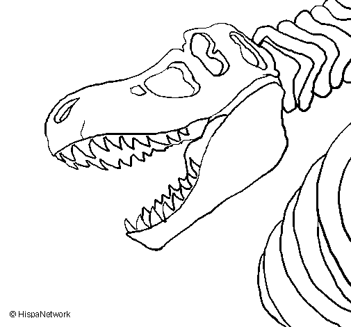 Desenho Esqueleto tiranossauro rex pintado por nnn
