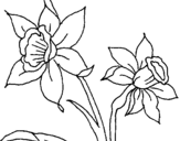Desenho Orquídea pintado por silvia