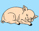 Desenho Porco a dormir pintado por geovana pires de lima
