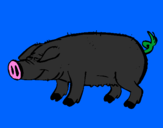 Desenho Porco com cascos negros pintado por joao