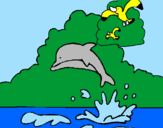 Desenho Golfinho e gaviota pintado por keila