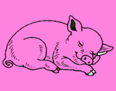 Desenho Porco a dormir pintado por leonor pinto