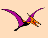Desenho Pterodáctilo pintado por dino