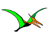 Desenho Pterodáctilo pintado por pterenodonte
