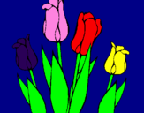 Desenho Tulipa pintado por MARTA