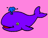 Desenho Baleia a expulsar água pintado por balenha