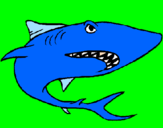 Desenho Tubarão pintado por Diego