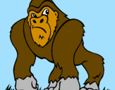 Desenho Gorila pintado por gabriel