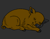Desenho Porco a dormir pintado por gisele